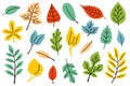 cute doodle colored autumn leaves