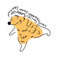 Cute doodle hedgehog on white background