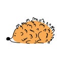 Cute doodle hedgehog on white background