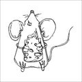 Cute Doodle Mouse vector illustration Royalty Free Stock Photo