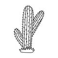 Cute doodle of saguaro cactus from Mexico or Wild West desert with hand drawn outline. Vector simple cacti flower with