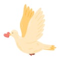 A dove with outstretched wings holding a heart in its beak. Vector isolated cartoon illustration