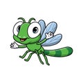 Cute dragonfly cartoon on white background