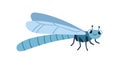 Cute dragonfly. Happy funny flying insect with wings. Adorable amusing smiling character with positive emotion. Childish