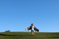 Cute dreamer boy playing with a cardboard airplane. Childhood. Fantasy, imagination. Happy kid playing with toy airplane Royalty Free Stock Photo