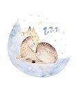 Cute dreaming cartoon deer animal hand drawn watercolor illustration. Sleeping charecher kids nursery wear fashion