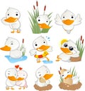 Cute duck in action set collection