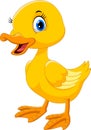Cute duck cartoon. Funny and adorable Royalty Free Stock Photo