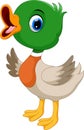 Cute duck cartoon. Funny and adorable Royalty Free Stock Photo