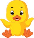 Cute duck cartoon Royalty Free Stock Photo