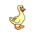 Cute duck cartoon isolated on white background Royalty Free Stock Photo