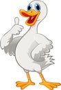 Cute duck cartoon with thumb up Royalty Free Stock Photo