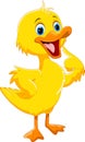 Cute duck cartoon Royalty Free Stock Photo