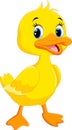 Cute duck cartoon Royalty Free Stock Photo