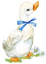 Cute duck. domestic farm bird watercolor illustration.
