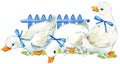 Cute duck. domestic farm bird watercolor illustration.