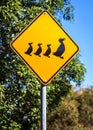 Cute Duck and Duckling road sign Royalty Free Stock Photo