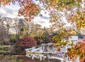 Cute duck pedal boats floating in the pond of Kichijoji Inokashira Park Royalty Free Stock Photo