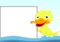 Cute Duck Swimming With Wooden Sign