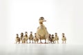 Cute duck and young duckling animals,Family walking on white background, Funny yellow group,AI generated