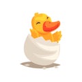 Cute duckling baby hatching from egg Royalty Free Stock Photo