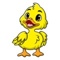 Cute duckling cartoon on white background