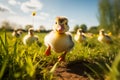 Cute Duckling Exploring a Sunny Meadow