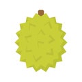 Cute durian exotic fruit, isolated colorful vector icon