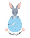 Cute Easter bilby in egg. Australian animal is wild mammal. Easter greeting card. Vector illustration in flat cartoon