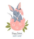 Cute Easter bilby in egg. Australian animal is wild mammal. Easter greeting card. Vector illustration in flat cartoon