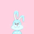 Cute easter bunny in blue on a pink background.