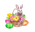 Cute Easter bunny with colored eggs and flowers in basket. Watercolor with floral design isolated on white background Royalty Free Stock Photo