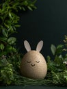 Cute easter bunny egg in a nest of green plants Royalty Free Stock Photo