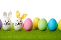Cute easter bunny eggs and colorful decorated eggs on green grass Royalty Free Stock Photo