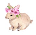Cute Easter Bunny, Floral Wreath With Pink Spring Flowers. Watercolor With Rabbit