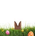 Cute Easter bunny hiding in green grass against background