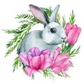 Cute easter bunny. Little bunnies, isolated background, watercolor illustration. Rabbit and tulips flowers painting