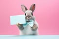 Cute Easter Bunny presenting a gift card - stock picture