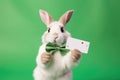 Cute Easter Bunny presenting a gift card - stock picture