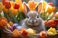 A cute Easter Bunny sitting in a basket with colored tulips Royalty Free Stock Photo