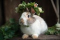 Cute Easter Bunny with Wreath in Nature. Perfect for Easter Invitations and Cards.