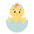Cute Easter chick character peeking out of egg with floral elements for kids illustration, design element Royalty Free Stock Photo