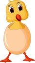 Cute Easter duckling in the broken Easter Egg