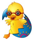Cute Easter duckling in a broken eggshell