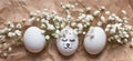 Cute easter egg with drawn face. Gypsophila flowers