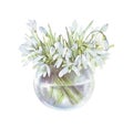 Cute Easter flowers. Spring snowdrop flowers. Hand drawn watercolor snowdrop flower bouquet in glass jar. First spring white flowe Royalty Free Stock Photo