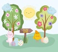 cute easter rabbit chicken with eggs nature trees landscape