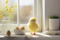 A Cute Easter yellow chicken in the white kitchen near a sunny window. Generative AI Royalty Free Stock Photo