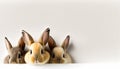 Cute eater bunnies on bright background