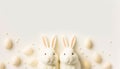 Cute eater bunnies on bright background